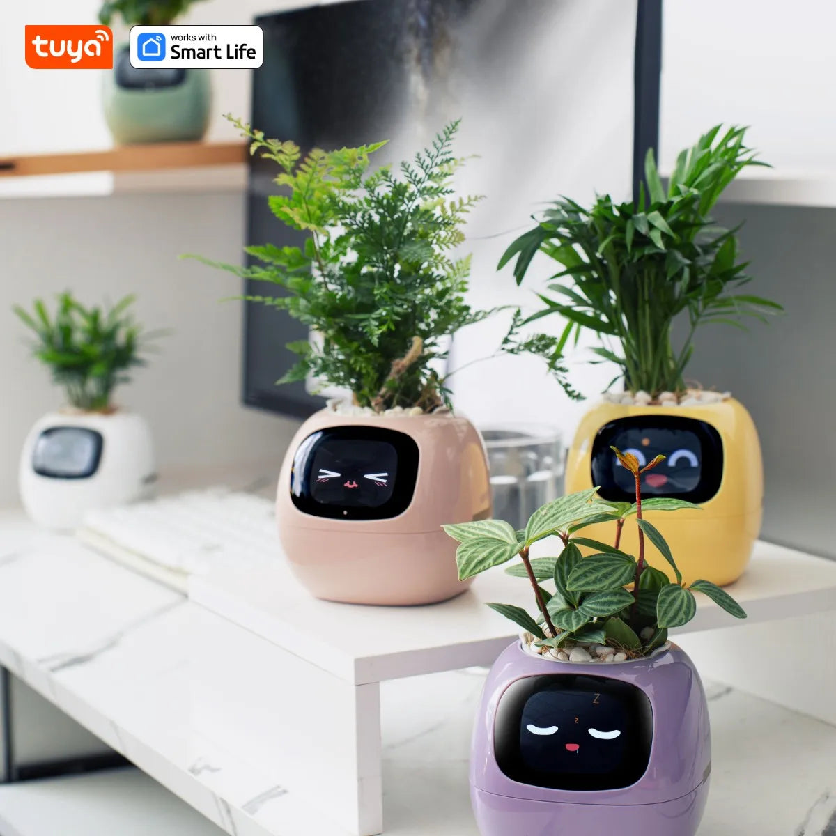 Tuya Ivy Smart Planter,Endless Fun Over 49 Rich Expressions,7 smart sensors,