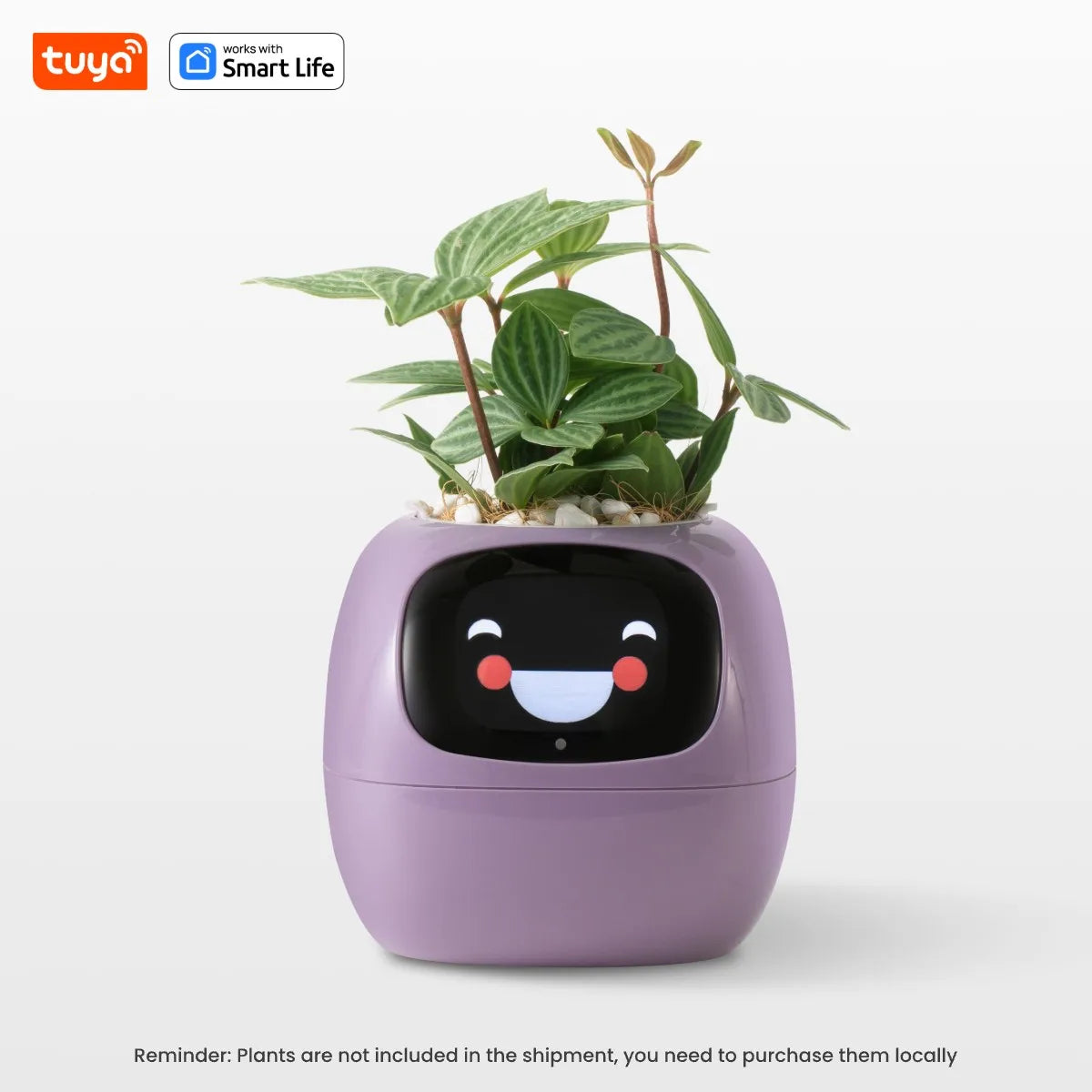 Tuya Ivy Smart Planter,Endless Fun Over 49 Rich Expressions,7 smart sensors,