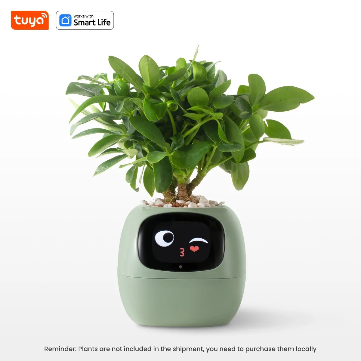 Tuya Ivy Smart Planter,Endless Fun Over 49 Rich Expressions,7 smart sensors,