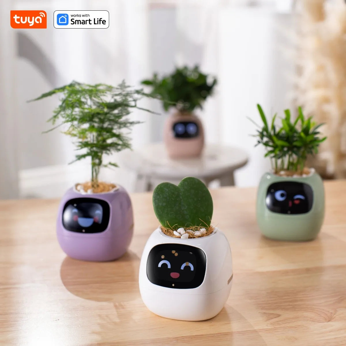 Tuya Ivy Smart Planter,Endless Fun Over 49 Rich Expressions,7 smart sensors,